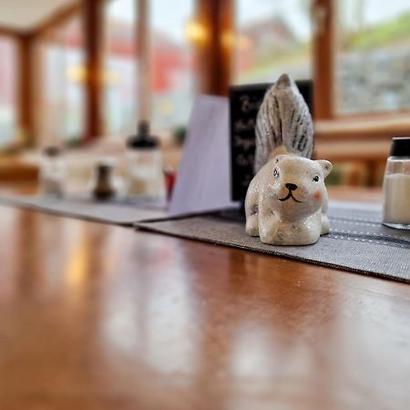 Ferien Vom Ich, Bayerischer Wald, Hotel & Restaurant Neukirchen  Exteriér fotografie