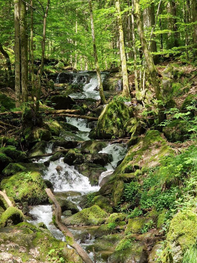 Ferien Vom Ich, Bayerischer Wald, Hotel & Restaurant Neukirchen  Exteriér fotografie
