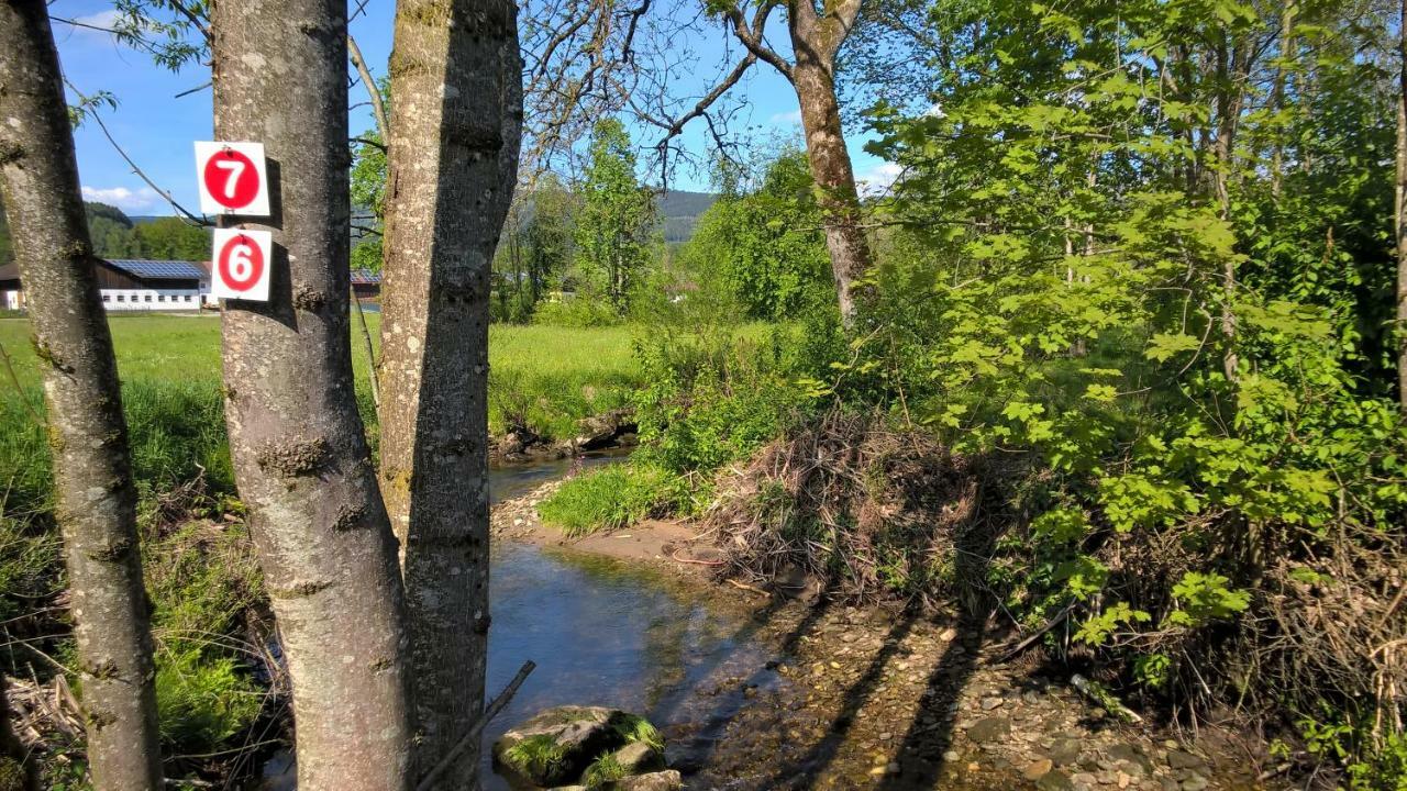 Ferien Vom Ich, Bayerischer Wald, Hotel & Restaurant Neukirchen  Exteriér fotografie