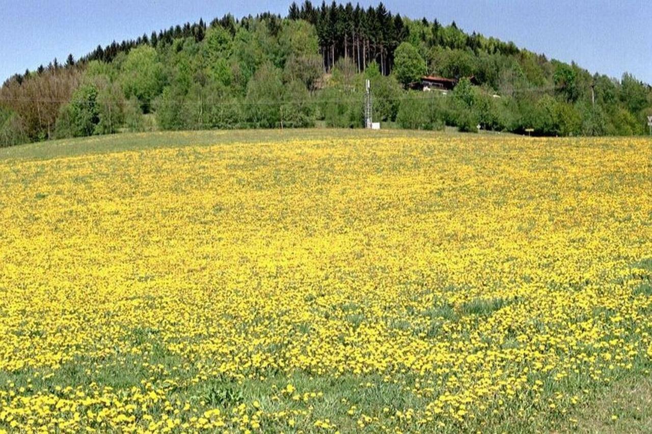 Ferien Vom Ich, Bayerischer Wald, Hotel & Restaurant Neukirchen  Exteriér fotografie