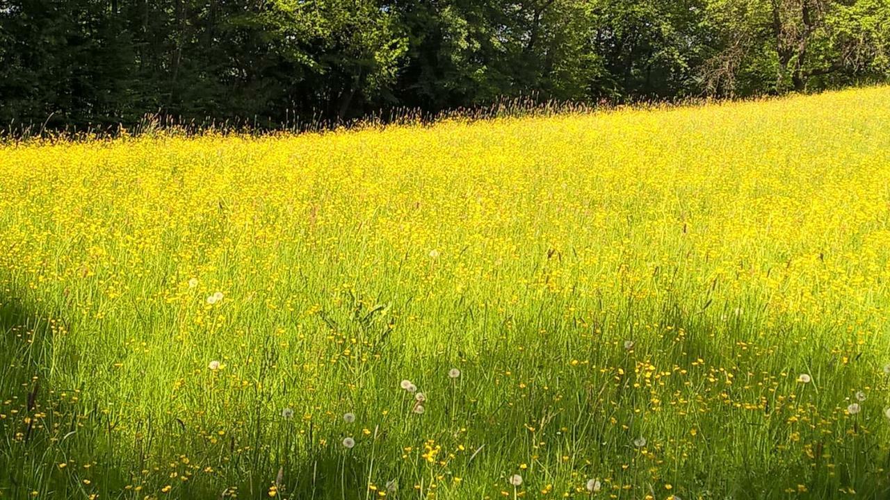 Ferien Vom Ich, Bayerischer Wald, Hotel & Restaurant Neukirchen  Exteriér fotografie