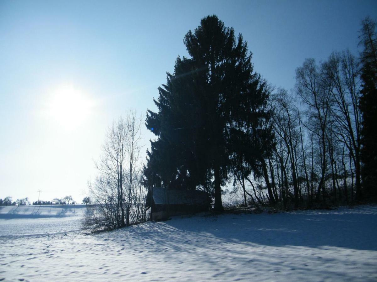 Ferien Vom Ich, Bayerischer Wald, Hotel & Restaurant Neukirchen  Exteriér fotografie